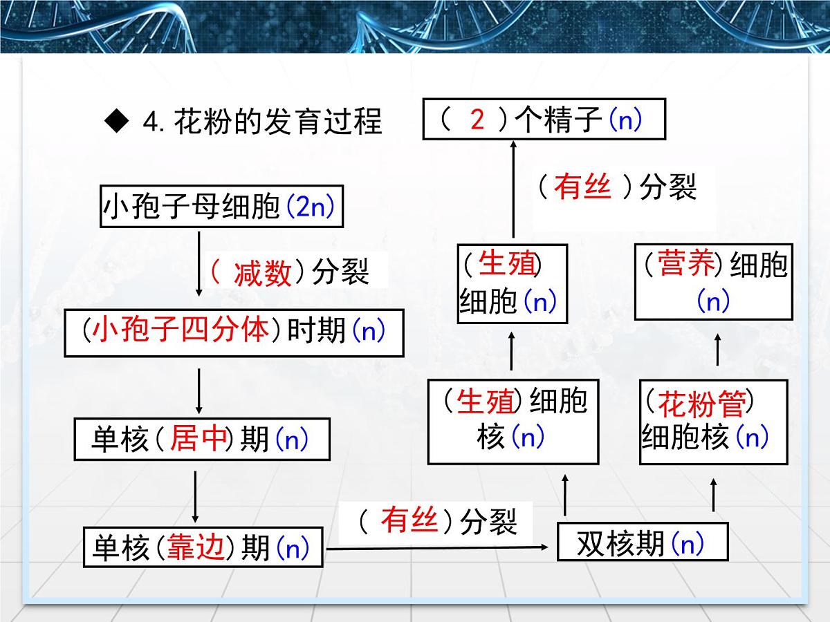 人教版 (新课标)高中生物选修1 3-2《月季的花药培养》课件第8页