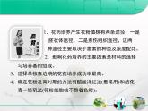 人教版 (新課標)高中生物選修1 3-2《月季的花藥培養(yǎng)》復習課件