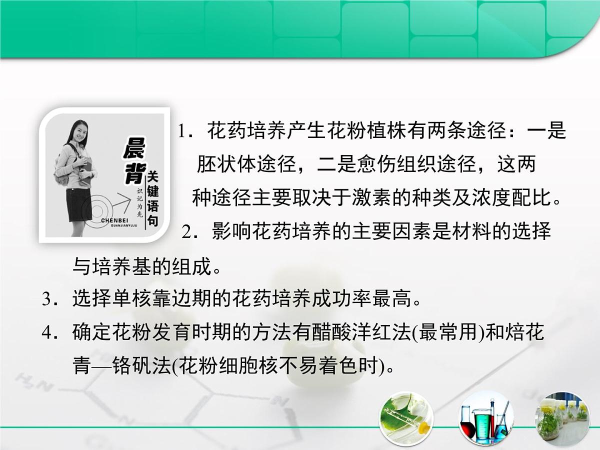 人教版 (新课标)高中生物选修1 3-2《月季的花药培养》复习课件第2页