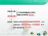 人教版 (新課標)高中生物選修1 3-2《月季的花藥培養(yǎng)》復習課件
