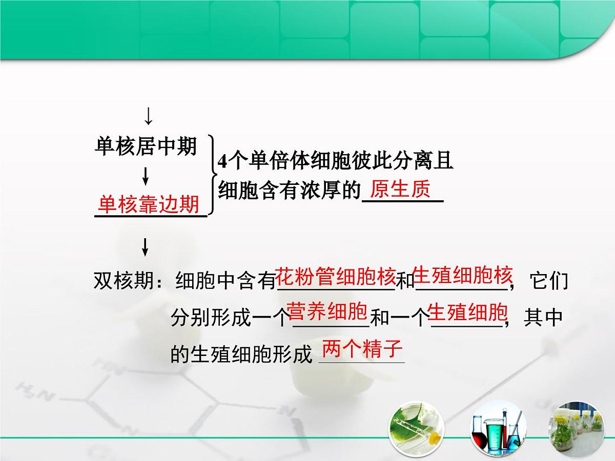 人教版 (新课标)高中生物选修1 3-2《月季的花药培养》复习课件第4页