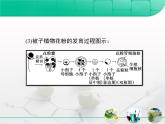 人教版 (新課標)高中生物選修1 3-2《月季的花藥培養(yǎng)》復習課件