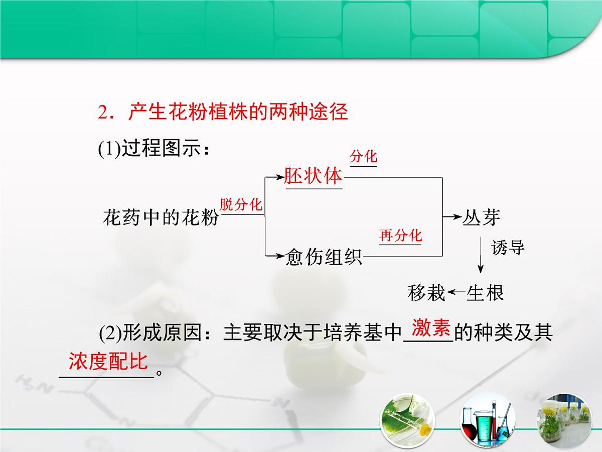 人教版 (新课标)高中生物选修1 3-2《月季的花药培养》复习课件第6页