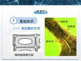 人教版 (新課標)高中生物選修1 4-1《果膠酶在果汁生產(chǎn)中的作用》課件