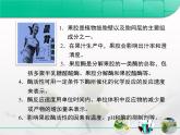 人教版 (新課標)高中生物選修1 4-1《果膠酶在果汁生產(chǎn)中的作用》復(fù)習課件