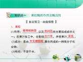 人教版 (新課標)高中生物選修1 4-1《果膠酶在果汁生產(chǎn)中的作用》復(fù)習課件