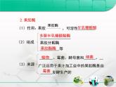 人教版 (新課標)高中生物選修1 4-1《果膠酶在果汁生產(chǎn)中的作用》復(fù)習課件