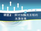 人教版 (新課標(biāo))高中生物選修1 4-2《探討加酶洗衣粉的洗滌效果》課件