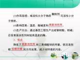 人教版 (新課標(biāo))高中生物選修1 4-2《探討加酶洗衣粉的洗滌效果》課件