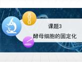 人教版 (新課標)高中生物選修1 4-3《酵母細胞的固定化》課件