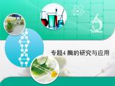人教版 (新課標(biāo))高中生物選修1 專題4《酶的研究與應(yīng)用》專題復(fù)習(xí)課件