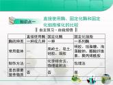 人教版 (新課標(biāo))高中生物選修1 專題4《酶的研究與應(yīng)用》專題復(fù)習(xí)課件