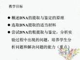 人教版 (新課標(biāo))高中生物選修1 5-1《DNA的粗提取與鑒定》課件