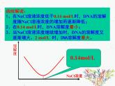人教版 (新課標(biāo))高中生物選修1 5-1《DNA的粗提取與鑒定》課件