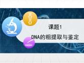 人教版 (新課標(biāo))高中生物選修1 5-1《DNA的粗提取與鑒定》課件