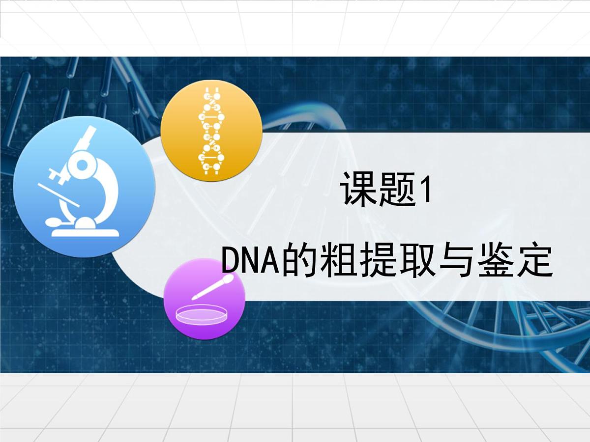 人教版 (新课标)高中生物选修1 5-1《DNA的粗提取与鉴定》课件第1页