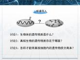 人教版 (新課標(biāo))高中生物選修1 5-1《DNA的粗提取與鑒定》課件