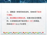 人教版 (新課標(biāo))高中生物選修1 5-1《DNA的粗提取與鑒定》課件