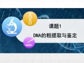 人教版 (新課標(biāo))高中生物選修1 5-1《DNA的粗提取與鑒定》課件