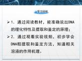 人教版 (新課標(biāo))高中生物選修1 5-1《DNA的粗提取與鑒定》課件