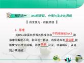 人教版 (新課標(biāo))高中生物選修1 5-1《DNA的粗提取與鑒定》復(fù)習(xí)課件