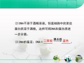 人教版 (新課標(biāo))高中生物選修1 5-1《DNA的粗提取與鑒定》復(fù)習(xí)課件