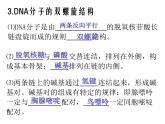 人教版 (新課標)高中生物選修1 5-2《多聚酶鏈式反應(yīng)擴增DNA片段》課件