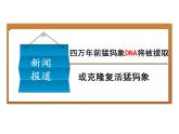 人教版 (新課標)高中生物選修1 5-2《多聚酶鏈式反應(yīng)擴增DNA片段（第1課時）》課件