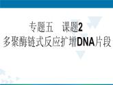 人教版 (新課標)高中生物選修1 5-2《多聚酶鏈式反應(yīng)擴增DNA片段》（第1課時）課件