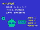 人教版 (新課標)高中生物選修1 5-2《多聚酶鏈式反應(yīng)擴增DNA片段》（第1課時）課件