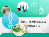 人教版 (新課標)高中生物選修1 5-2《多聚酶鏈式反應(yīng)擴增DNA片段》復(fù)習(xí)課件