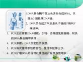 人教版 (新課標)高中生物選修1 5-2《多聚酶鏈式反應(yīng)擴增DNA片段》復(fù)習(xí)課件