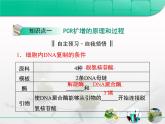 人教版 (新課標)高中生物選修1 5-2《多聚酶鏈式反應(yīng)擴增DNA片段》復(fù)習(xí)課件