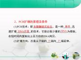 人教版 (新課標)高中生物選修1 5-2《多聚酶鏈式反應(yīng)擴增DNA片段》復(fù)習(xí)課件