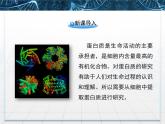 人教版 (新課標(biāo))高中生物選修1 5-3《血紅蛋白的提取和分離》課件