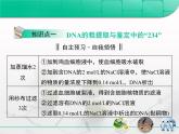 人教版 (新課標(biāo))高中生物選修1 專題5《DNA和蛋白質(zhì)技術(shù)》專題復(fù)習(xí)課件
