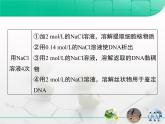 人教版 (新課標(biāo))高中生物選修1 專題5《DNA和蛋白質(zhì)技術(shù)》專題復(fù)習(xí)課件