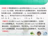人教版 (新課標(biāo))高中生物選修1 專題5《DNA和蛋白質(zhì)技術(shù)》專題復(fù)習(xí)課件