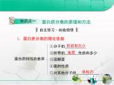 人教版 (新課標(biāo))高中生物選修1 專題5《血紅蛋白的提取和分離》復(fù)習(xí)課件