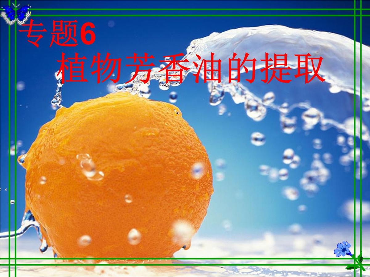 人教版 (新课标)高中生物选修1 6-1《植物芳香油的提取》课件第1页