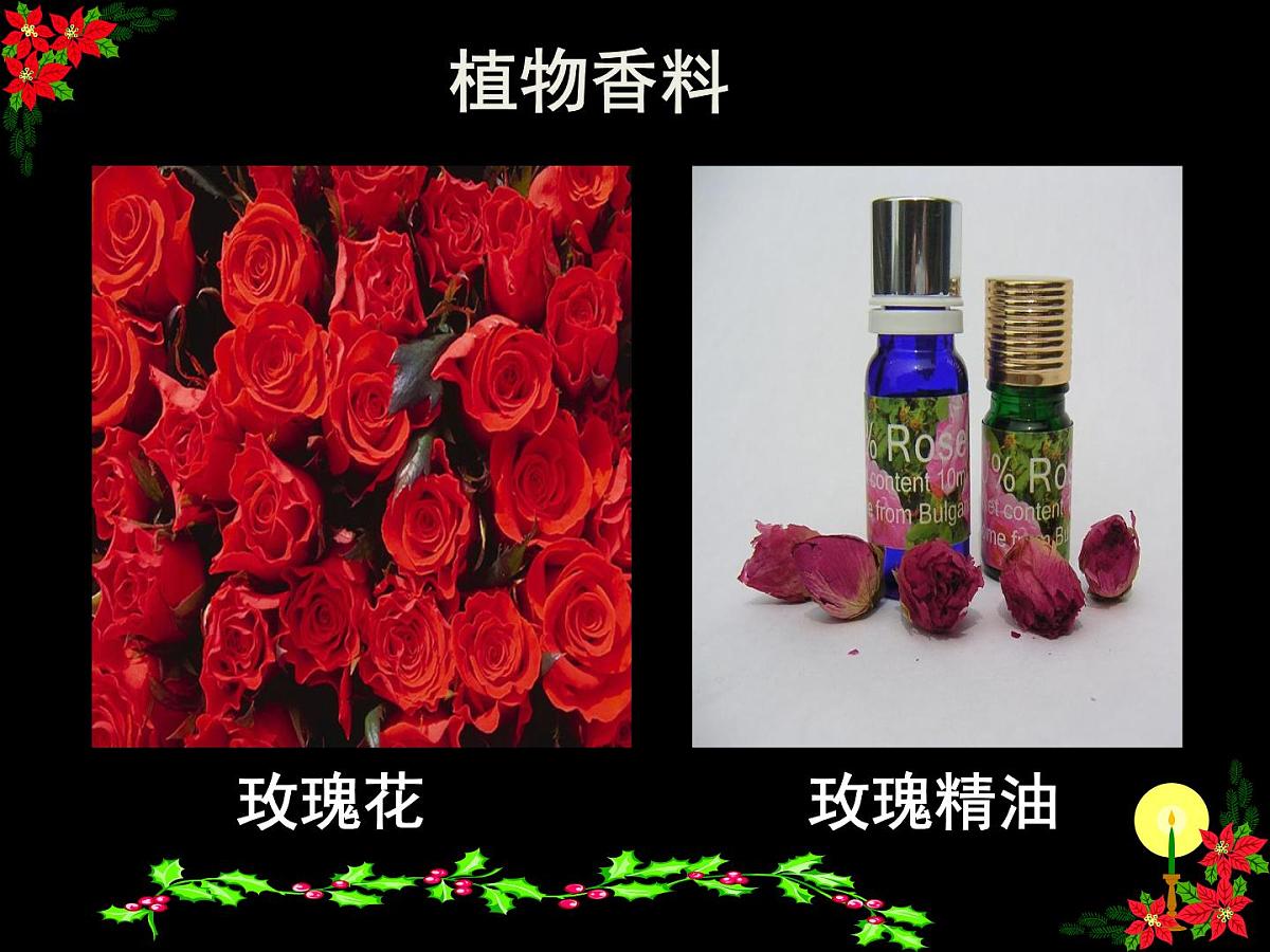 人教版 (新课标)高中生物选修1 6-1《植物芳香油的提取》课件第8页