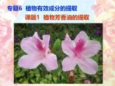 人教版 (新課標)高中生物選修1 6-1《植物芳香油的提取》課件