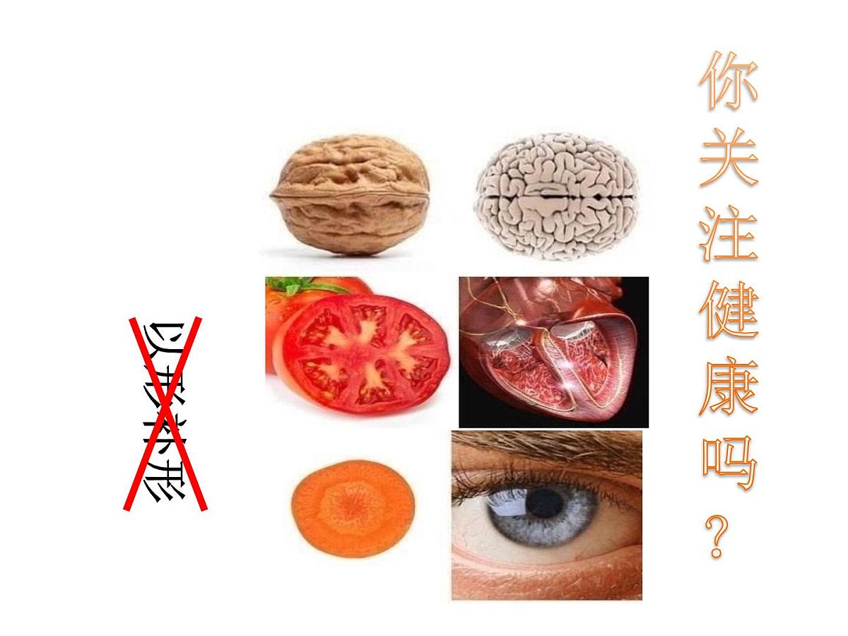 人教版 (新课标)高中生物选修1 6-2《胡萝卜素的提取》课件第1页