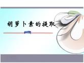 人教版 (新課標)高中生物選修1 6-2《胡蘿卜素的提取》課件