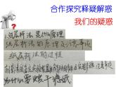 人教版 (新課標)高中生物選修1 6-2《胡蘿卜素的提取》課件