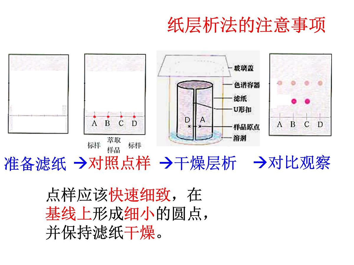 人教版 (新课标)高中生物选修1 6-2《胡萝卜素的提取》课件第8页