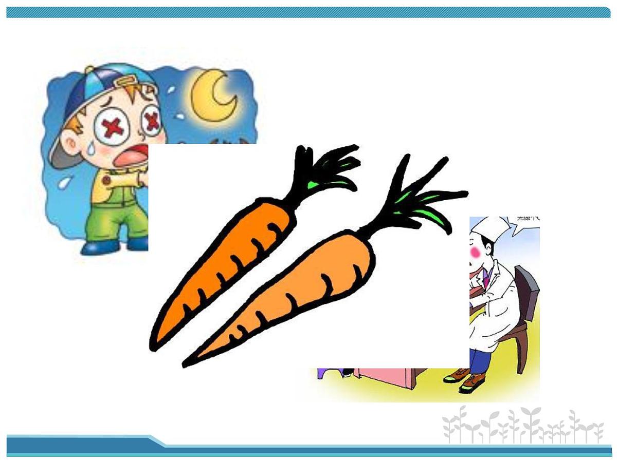 人教版 (新课标)高中生物选修1 6-2《胡萝卜素的提取》课件第2页