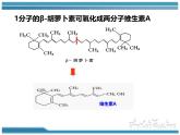 人教版 (新課標)高中生物選修1 6-2《胡蘿卜素的提取》課件