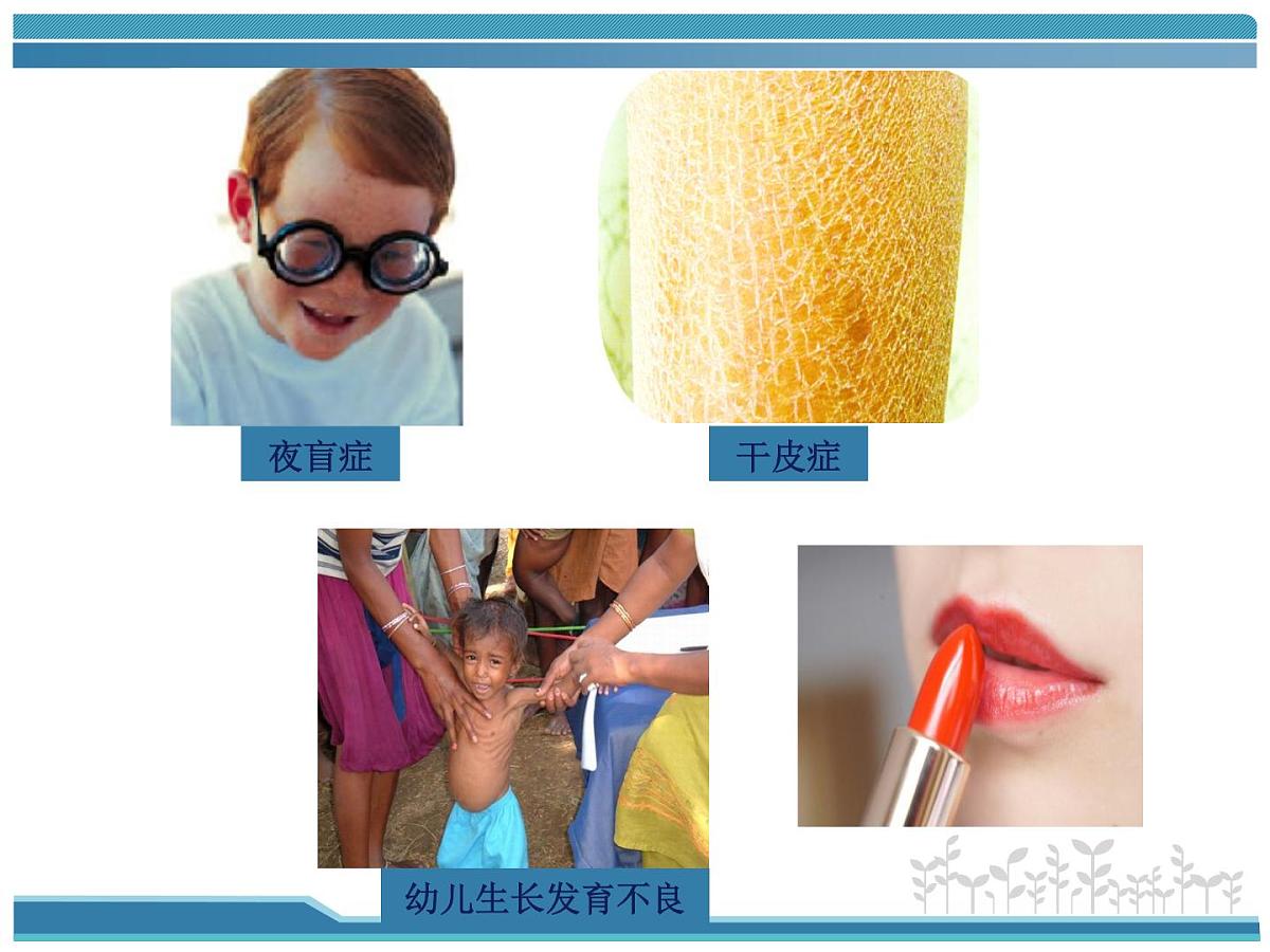 人教版 (新课标)高中生物选修1 6-2《胡萝卜素的提取》课件第4页