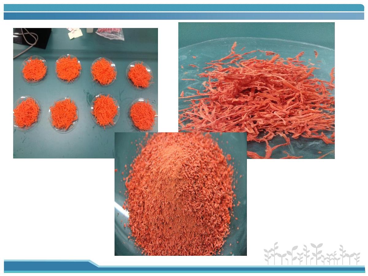 人教版 (新课标)高中生物选修1 6-2《胡萝卜素的提取》课件第8页